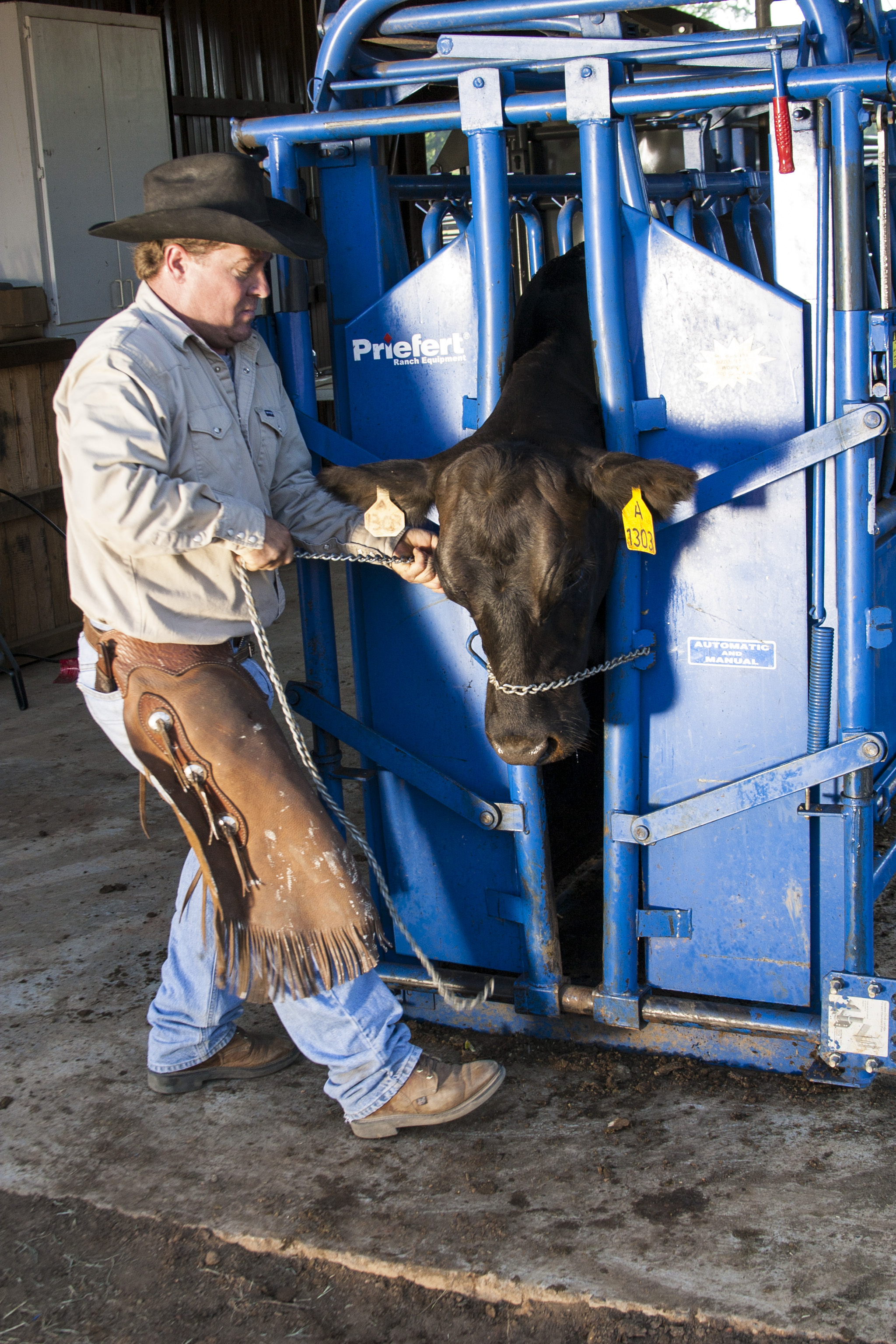 Squeeze Chute S04 10.jpg